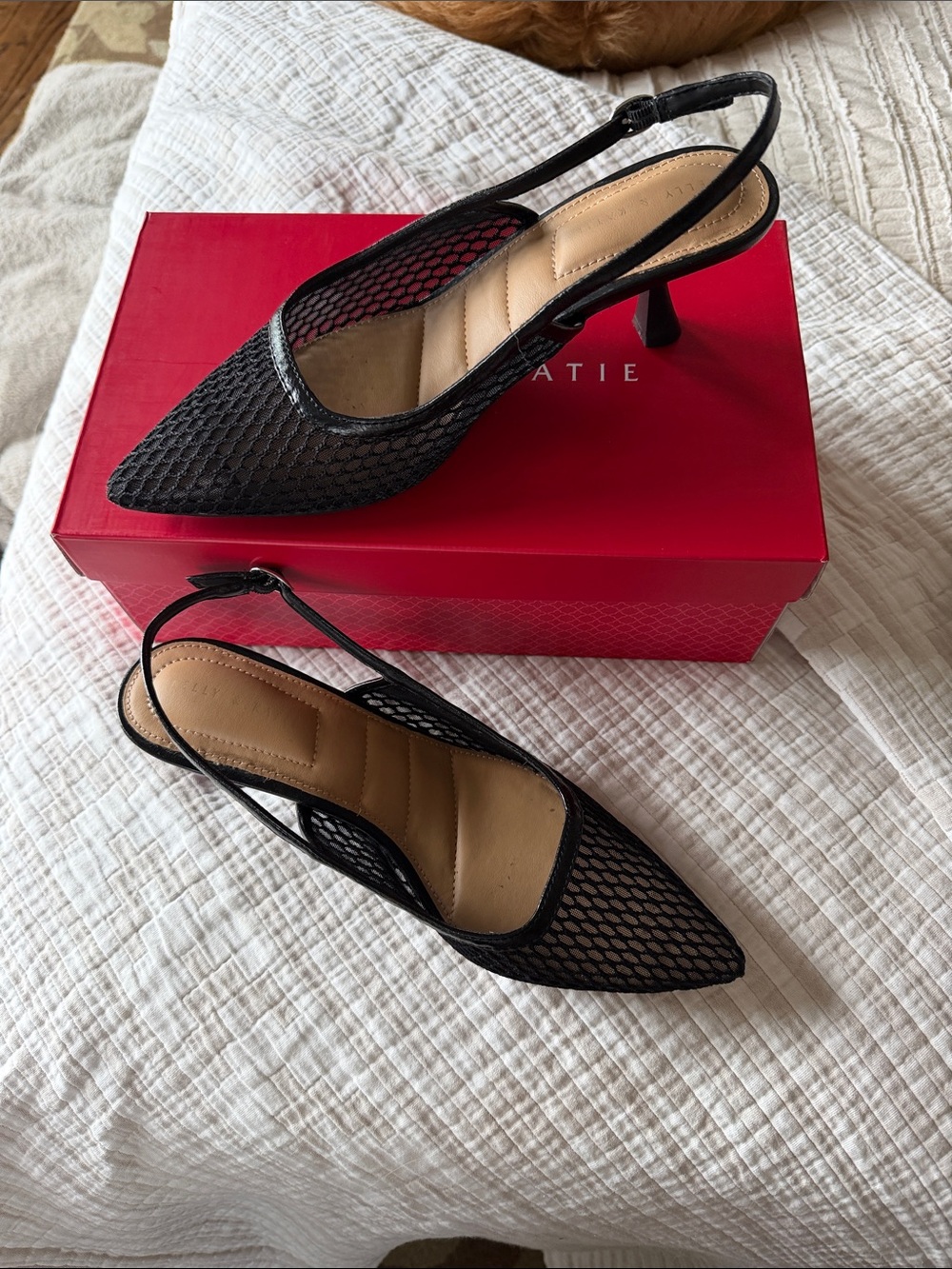 KELLY & KATE- Black Mesh Pointed Slingback Kitten Heels